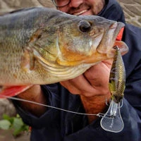 Westin Buzzbite Crankbaits 5cm/6g